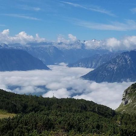'Dasbergblick' التوسي المظهر الخارجي الصورة