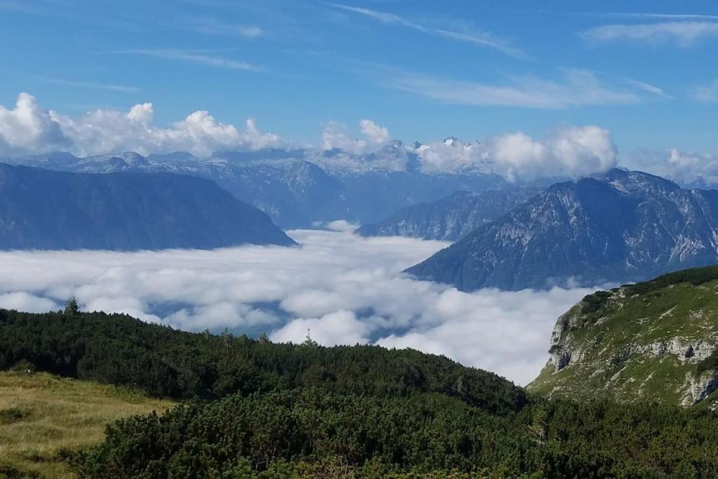 'Dasbergblick' التوسي المظهر الخارجي الصورة